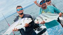Private fishing charter in Tamarindo with food and drinks