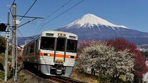Mt Fuji Shizuoka Wasabi Tour with Hokusai Train and Bullet Train
