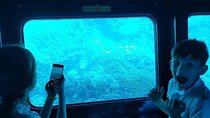 Enjoy a Semi Submarine Voyage with Transfers: Sharm El Sheikh