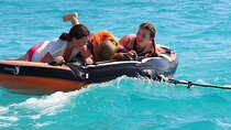 2 Water Sports, Quadra & Banana Boat W/Transfer: Sharm El Sheikh