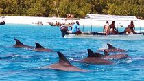 Zanzibar Swim with Dolphins and Turtles Visit at the Aquarium
