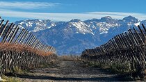 Winery and lunch experience in Valle de Uco from Mendoza