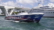 South Florida Speed Boat Cruise 