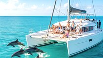 MIAMI: Key West Dolphin Watch Tour 