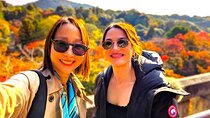Kyoto: Half-Day Private Tour Gion Geisha Districts & Kiyomizu