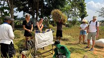 Yogyakarta Cooking Class and Cycling Tour