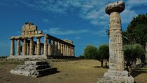Private tour from Naples to Paestum Excavations