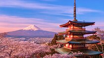 Mount Fuji Adventures Private English Tour With Hotel Pick Up