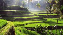 Ubud Customized Tour: Pick Ubud Attractions as Your wish