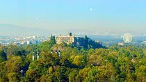 Chapultepec Castle & forest: History, Nature, and Hidden Secrets