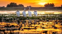 Danube Delta and Black Sea Two Day Private Tour
