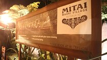 Mitai Maori Village Redwoods Treewalk with Optional Blue Spring