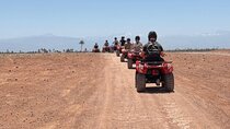 Quad and Camel Ride in Marrakech Palm Desert 