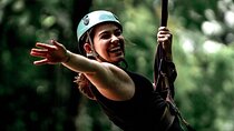 Jaco Jungle Zipline & Waterfall Tractor Tour