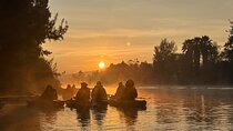 Kayak at sunrise in Xochimilco: agroecological experience