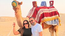 Abu Dhabi Desert Safari BBQ Dinner Camel Ride and Live Shows