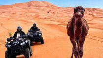 Merzouga Desert ATV Quads