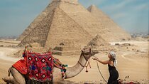Top Rated Giza Pyramids,Sphinx,Camel ride,lunch & inside pyramids