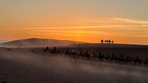 Marrakech: Agafay Desert Camel Ride with Dinner & Live Show