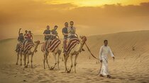 Morning Vip Red Dunes Safari:Quad Bike Camel Ride & Sandboarding 