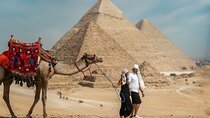 All inclusive Giza Pyramids,Sphinx,lunch,Camel,insid pyramid