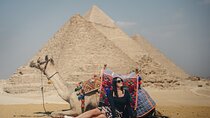 Giza pyramids, Sphinx,lunch and camel ride from Cairo/Giza hotels