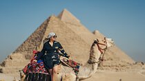 Top Rated Giza Pyramids,Sphinx,Camel ride,lunch & inside pyramids