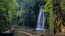 Ubud Private Tour: Monkey Forest, Falls, Temple and Rice Terraces