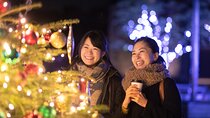 Private Tokyo Holiday Lights and Christmas Market Walk