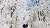 Mount Seorak and Nami Island One Day Tour from Seoul