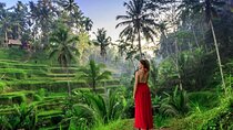 Explore Ubud Nature Wonders/Private Guide/Skip the Traffic 
