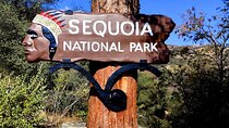 Giant Sequoia National Park Private Day Tour from Los Angeles