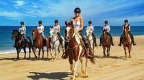 Agadir Horseback Riding on Tamraght Beach w/ Hotel Pickup