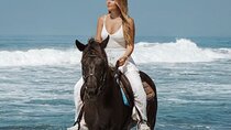 Hurghada 2 Hour-Horseback Experience: From Beach to Desert