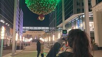Downtown DC Holiday Tour: Lights, Decorations & Festive Cheer