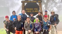 Kilimanjaro Half-Day Hike