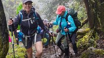 Kilimanjaro Hike Through Rongai Route. 