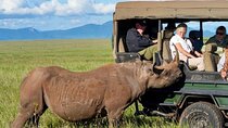Tanzania Safari: Serengeti, Ngorongoro & Lake Manyara