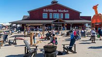 St. Jacobs Market & Mennonite Countryside Tour 