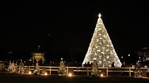 Holiday Lights Tour at US Capitol and White House