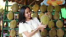 Musang King Durian Feast + KL Night Icons with Hotel Pickup