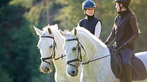 Exclusive Horseback Experience and Wine Tasting