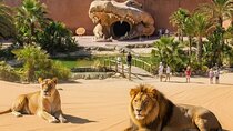 Agadir Wildlife Safari: Crocoparc & Lion Park Adventure