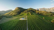 Wine Tasting Private Tour in Franschhoek and Stellenbosch