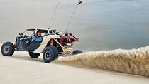 Doha Desert Safari: QuadBikes, DuneBashing, CamelRide & SandBoard