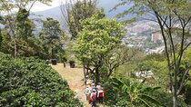 Experience in Coffee Hacienda in Medellin