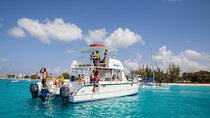 Isla Catalina All Inclusive Snorkel and Beach Day from Punta Cana