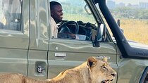Nairobi National Park Half-Day Game Drive Guided Tour