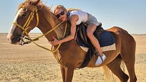 1 Hour Horse Ride, Egyptian Live Show & Dinner: Sharm El Sheikh