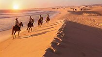 Beach Horseback Riding and Sandboarding Adventure in Agadir